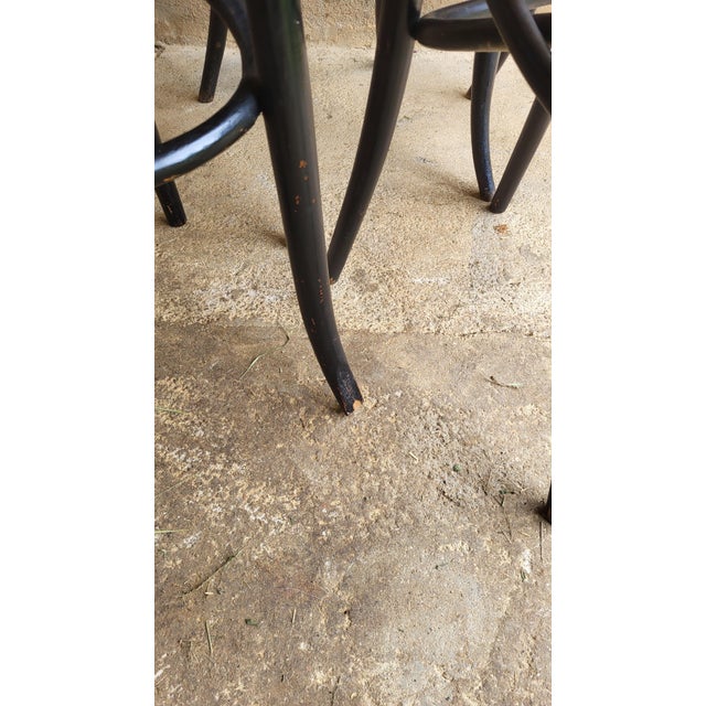 Art Nouveau Chairs in Bent Wood by Michael Thonet, 1890s, Set of 4 For Sale - Image 11 of 12