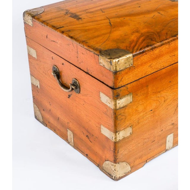 Antique Military Campaign Camphorwood Trunk Coffer, 1840s For Sale - Image 13 of 15
