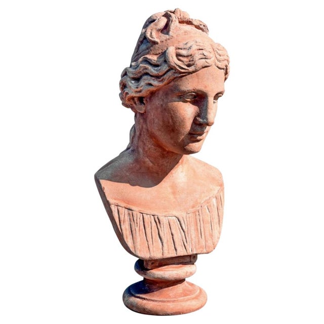 Neoclassical Style Head of a Woman, 20th Century, Terracotta For Sale - Image 6 of 6