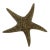 Vintage Brass Starfish Paper Weight For Sale