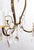 French Brass Chandelier with 3 Arms and Crystals, 1940s For Sale - Image 11 of 12