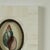 Pair of Petite Bone Framed Seashell Prints For Sale - Image 4 of 16