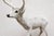 Cabin Majestic Life-Size Cast Concrete Stag Deer Sculpture, Rustic Garden Accent For Sale - Image 3 of 8