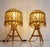 French Riviera Rattan and Cane Table Lamps by Franco Albini, 1960s, Set of 2 For Sale - Image 9 of 14
