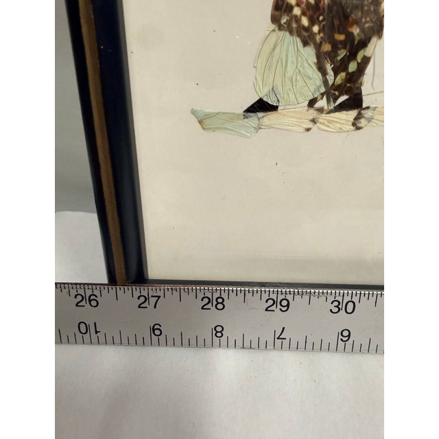Traditional Framed Butterfly Wing Art Featuring Two Figures With Parasols For Sale - Image 3 of 12