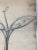 Drawing for a Table Lamp by Robert Gerlach, 1915 For Sale - Image 3 of 10