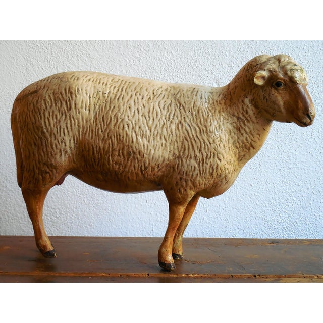 1930s Antique 1930s Zoological Sheep Figurine / Model Used in School For Sale - Image 5 of 11