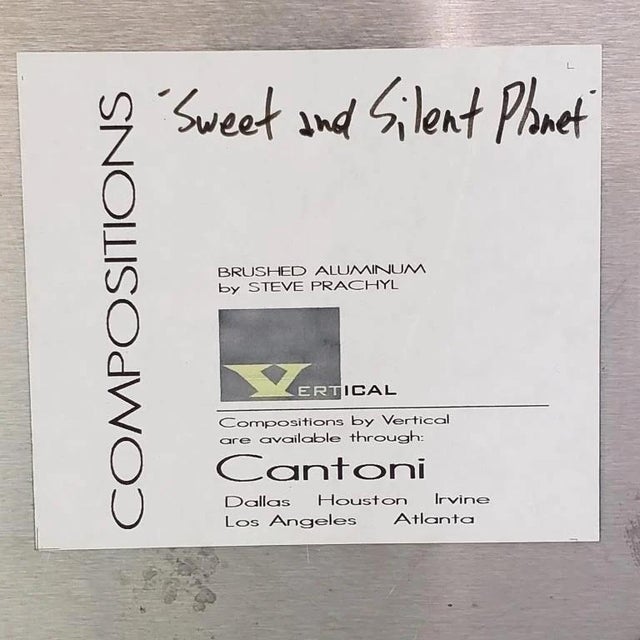 Contemporary Steve Prachyl “Sweet and Silent Planet” Large Brushed Aluminum Wall Art, 60”sq — Vertical for Cantoni For Sale - Image 3 of 5