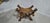 Walnut X Framed Stool, 1880s For Sale - Image 14 of 16
