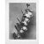Printmaking Materials 1935 Karl Blossfeldt Photogravure N89-90 For Sale - Image 7 of 10
