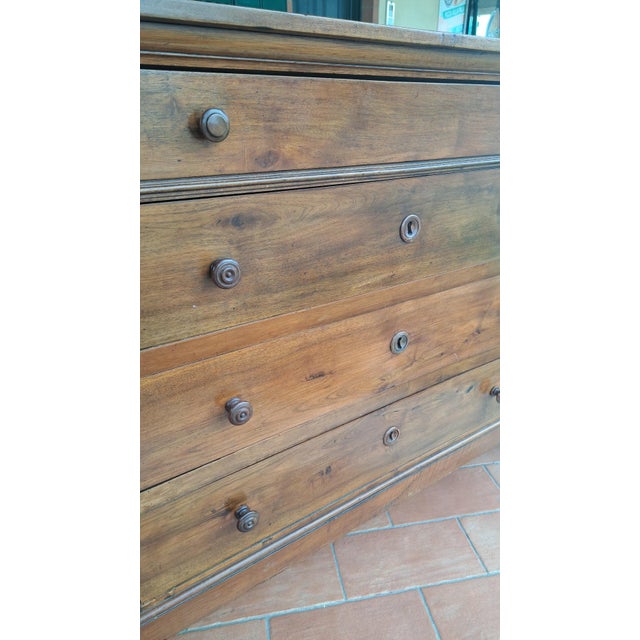 Italian Chest of Drawers in Walnut For Sale - Image 5 of 6