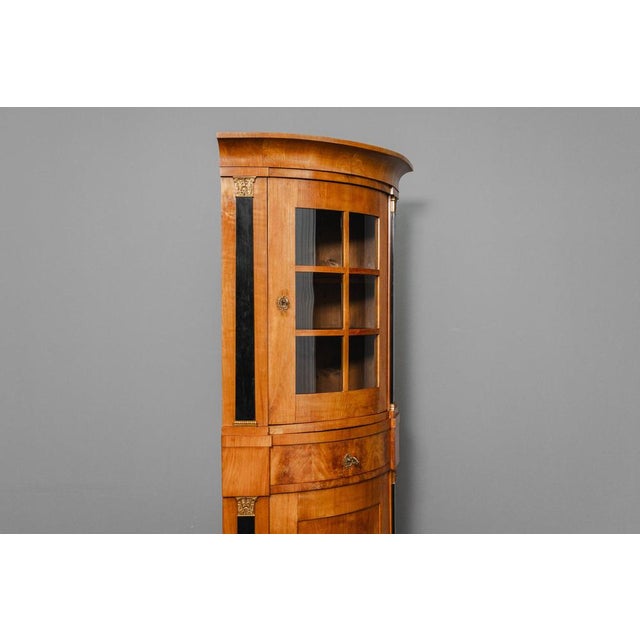 Brown 19th Century Biedermeier Corner Display Cabinet For Sale - Image 8 of 18