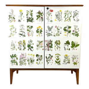 1950’s Swedish Cabinet With Nordens Flora Illustrations