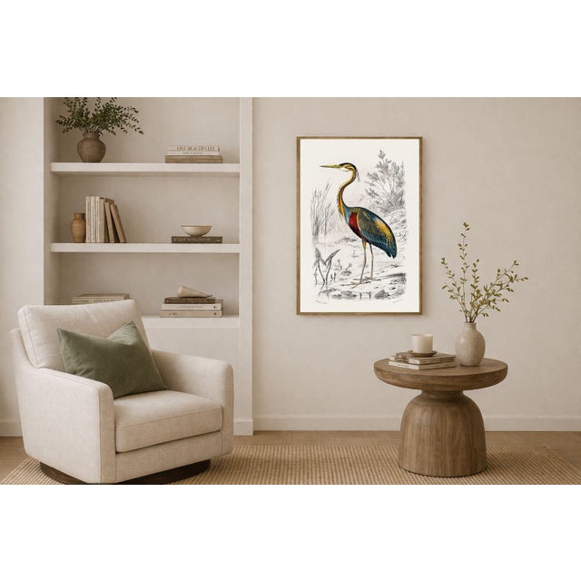 Purple Heron Antique Illustration, Vintage Bird Art Print Reproduction, 24″ × 36″ For Sale - Image 4 of 9