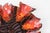 Mid 20th Century Vallauris French Pottery Fish Platter in Orange and Brown Glaze For Sale - Image 12 of 16