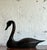 Late 20th Century Vintage Boho Life Size Swan Decoy For Sale - Image 5 of 11