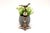Metal Silver Toothpick Holder with Bird For Sale - Image 7 of 7