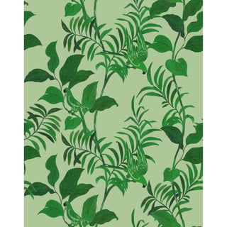 Sample - Tropical Birds Wallpaper by Paule Marrot in Greens For Sale