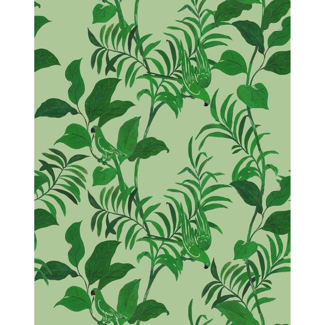 Sample - Tropical Birds Wallpaper by Paule Marrot in Greens For Sale
