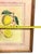 Pink Vintage Framed “Limon Sbardonius” Lemon Citrus Botanical Print After Giovanni Battista Ferrari For Sale - Image 8 of 11