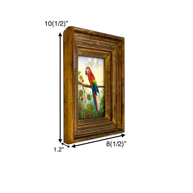 Safari Late 20th Century Parrot Painting Bird Art Tropical Red Macaw Oil on Board Wall Decor For Sale - Image 3 of 5