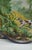 Late 19th Century 19th Century French Faience Hunting Dog Platter Creil & Montereau For Sale - Image 5 of 7