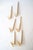 Mid-Century Modern Asymetric Wall Hooks by Hertha Baller, Austria, 1950s, Set of 6 For Sale - Image 3 of 7