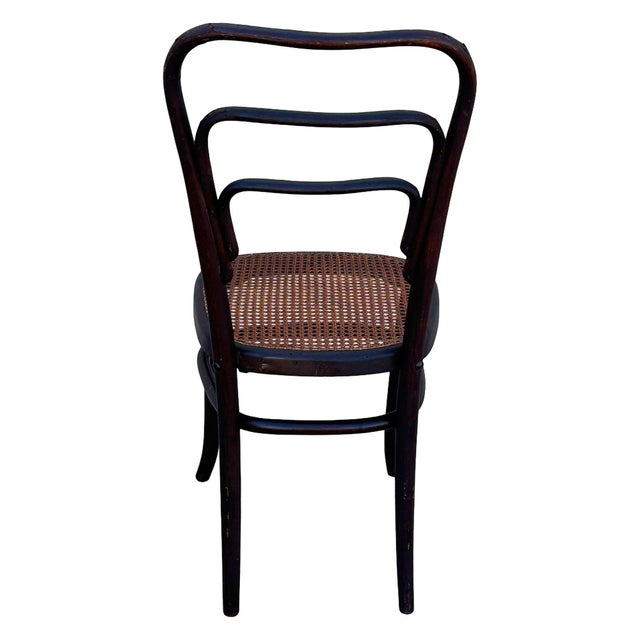 1920s Early 1920s Modernist Bent Oak & Cane Chair No. 144 Attributed to Thonet For Sale - Image 5 of 6