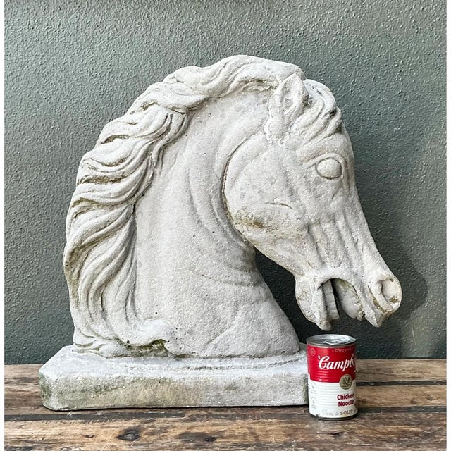 Vintage Cement Equestrian Bust For Sale - Image 4 of 12