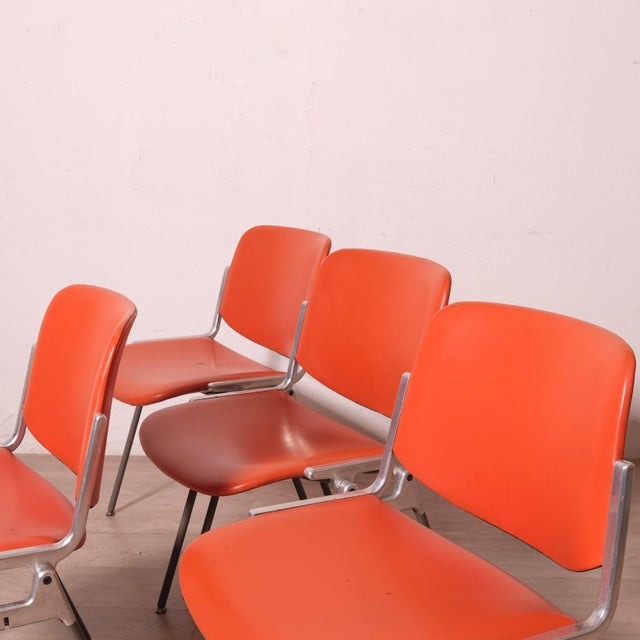 Animal Skin DSC 106 Chairs in Leather by Giancarco Pierretti for Jec Castelli, 1970s, Set of 4 For Sale - Image 7 of 18