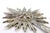 Revealed Silver Splendor and Crowned Center For Sale - Image 4 of 8