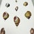 Wood Set of 3 Early 19th-Century Hand-Colored Sowerby Shell Studies in Walnut Frames For Sale - Image 7 of 10
