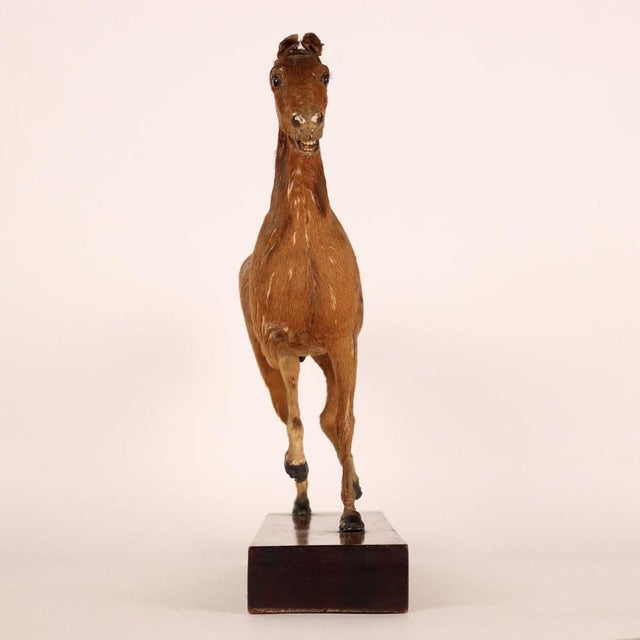 Horse, one of nine sculptures depicting animals of different species, entirely covered with fur; Each animal rests on a...