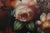 Artist Signed Framed Still Life Oil Paint on Canvas For Sale - Image 4 of 16