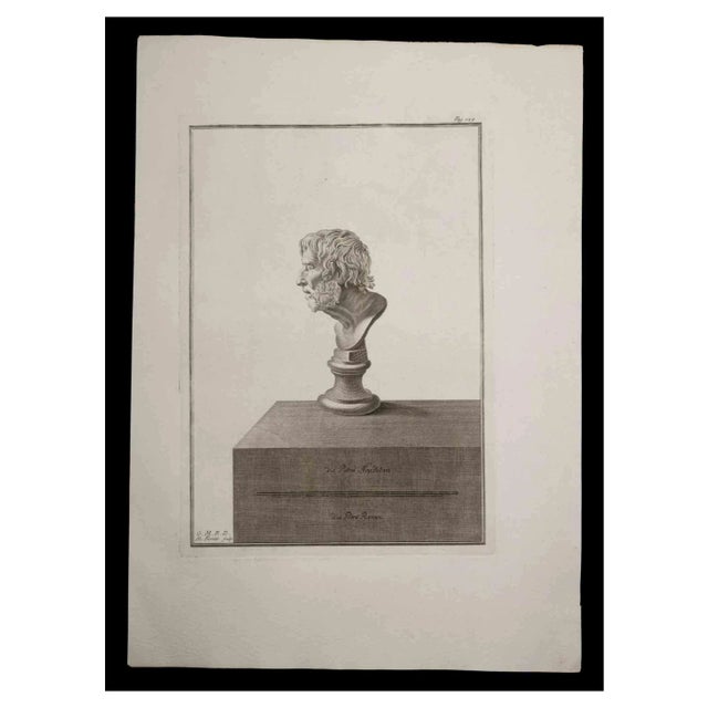 Nicola Fiorillo, Ancient Roman Bust, Original Etching, 18th Century For Sale