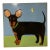 Folk Art Painting of a Dog Named “Dunder” by Artist Cate Christen Waung For Sale