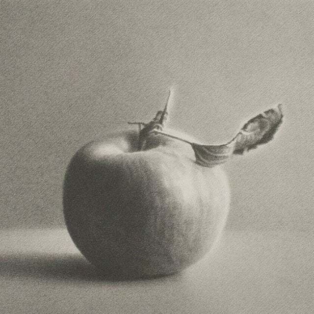 Realism Martha Alf "Apple" Still Life Lithograph Print Limited Signed (235/250) For Sale - Image 3 of 5