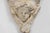 Antique French Plaster Wall Console with Cherubs, 1900s For Sale - Image 6 of 11