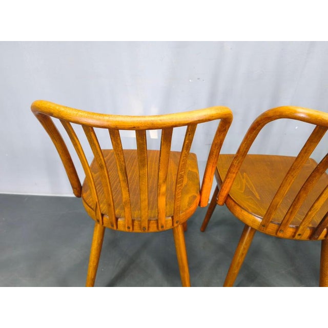 Dining Chairs by Antonin Suman for Ton, 1960s, Set of 4 For Sale - Image 9 of 18