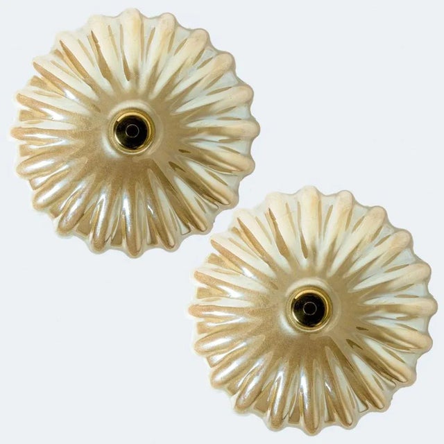 An elegant hand blown Murano glass flush mount in the style of Barovier & Toso. Mounted on a white frame. with light amber...