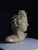 Apollo Bust in Concrete For Sale - Image 4 of 12