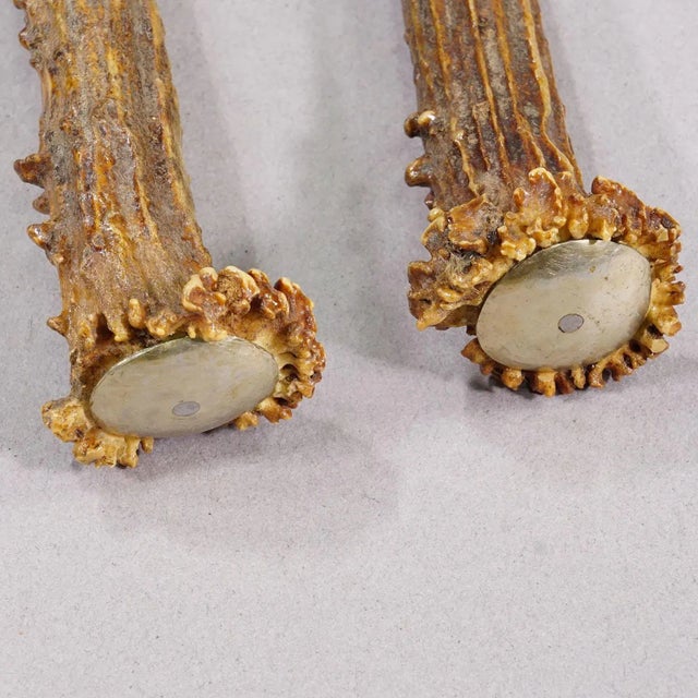 Metal Vintage Stainless Steel and Horn Tableware Set for 6 Germany, 1900s For Sale - Image 7 of 7