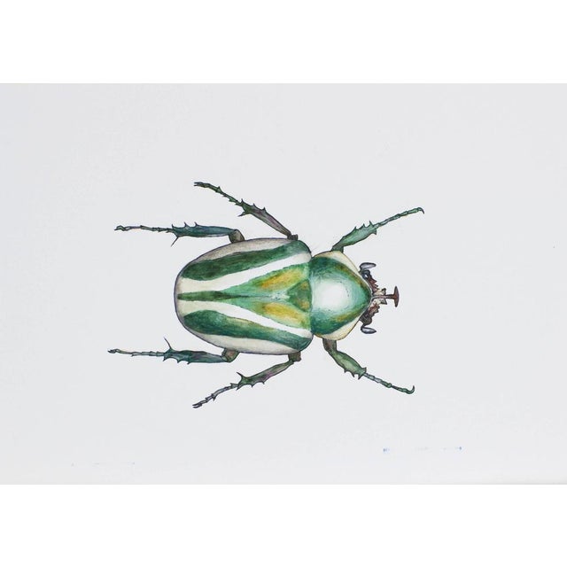 Juris Utans, Bright Beetle Mother, 2021, Mixed Media and Paper For Sale - Image 3 of 3