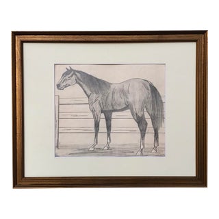 Original Vintage Drawing Portrait of a Horse by M. Laser C. 1930 For Sale