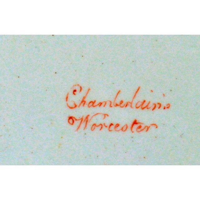 Chamberlain Worcester Porcelain Chamberlain's Worcester Porcelain Botanical Oval Dish Painted With an Iris Circa 1815 For Sale - Image 4 of 5