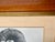 Vintage Bighorn Ram Wildlife Photograph Framed Black & White Mountain Photo For Sale - Image 9 of 11