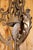 Metal 19th Century Wrought Iron Chandelier with Coat of Arms For Sale - Image 7 of 14