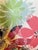 Mid-Century Modern Floral Rocking Chair For Sale - Image 9 of 9