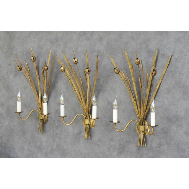1960s Spanish Gilt Tole Reed and Seed Head Wall Sconce, 1960 For Sale - Image 5 of 10