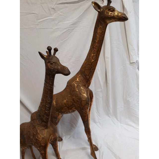 Traditional 1960s Vintage Brass Giraffe Statues - A Pair For Sale - Image 3 of 12